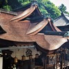 雨の後の檜皮葺の拝殿