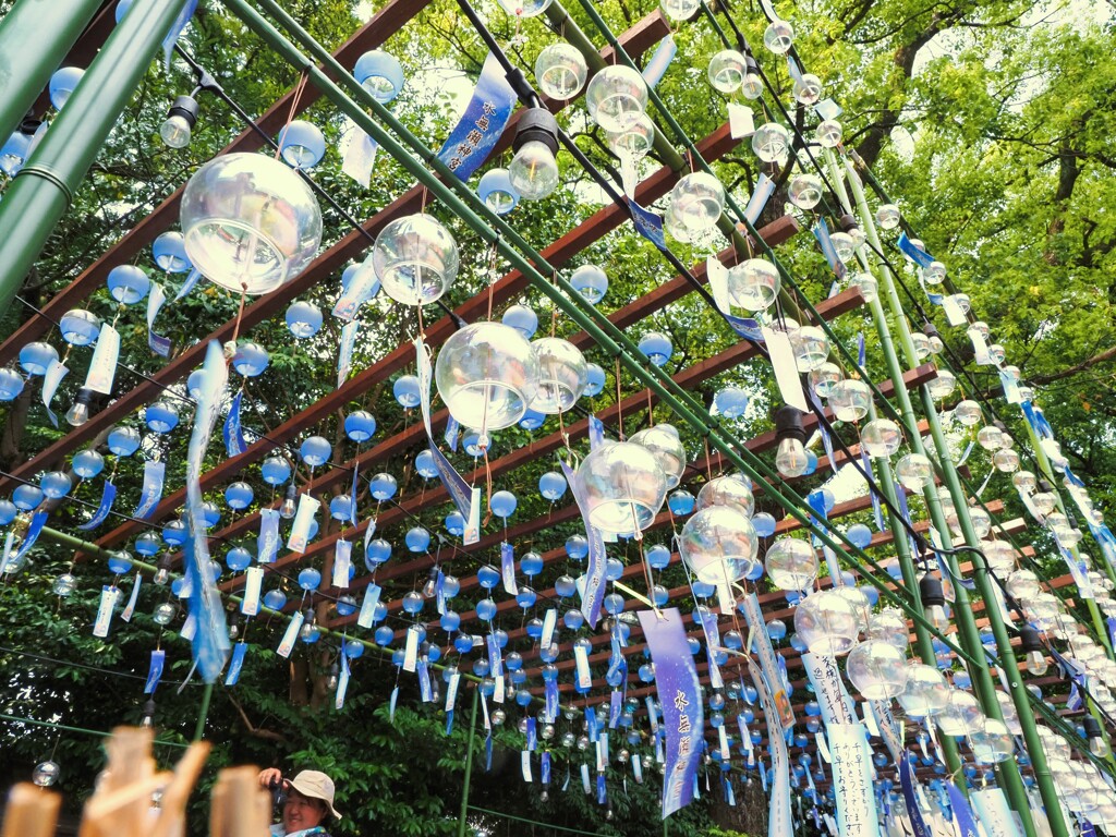 風鈴　見上げるⅡ