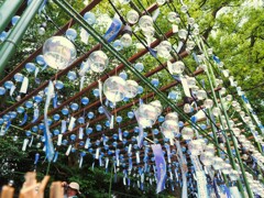 風鈴　見上げるⅡ