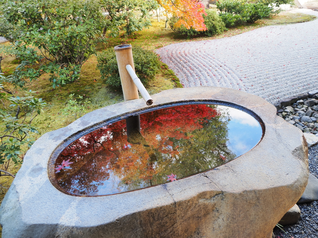 建仁寺の紅葉　手水
