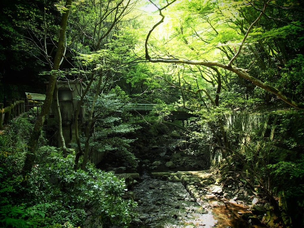 渓谷と橋