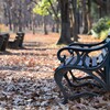 冬の公園　『ベンチ』