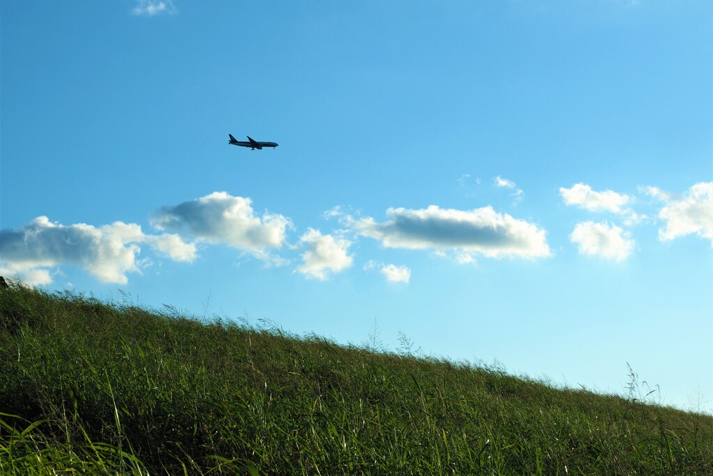 飛行機（空と緑）