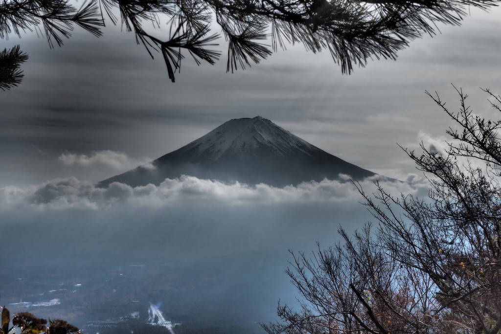 ＦＵＪＩ