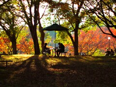 晩秋のピクニック