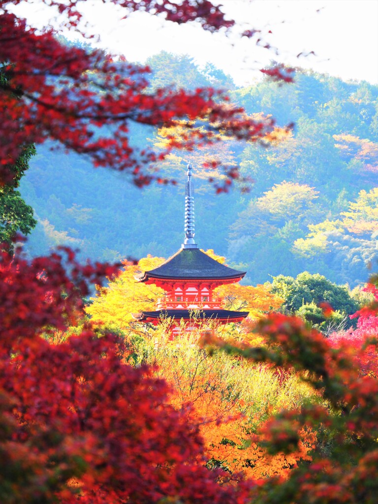 京都の紅葉Ⅱ