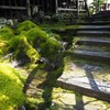 苔と石段