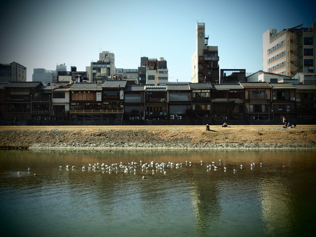 人も鳥もの～んびり