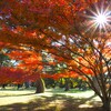 秋晴れの京都御所