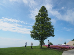 夏の空を歩く