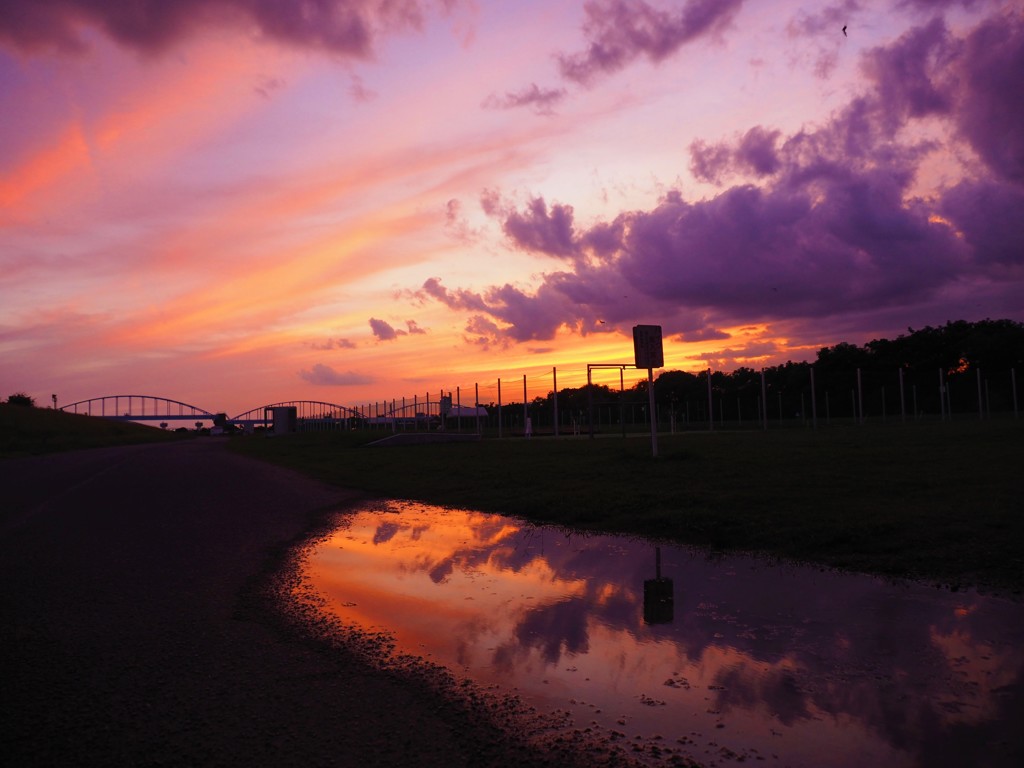 水たまりの雲