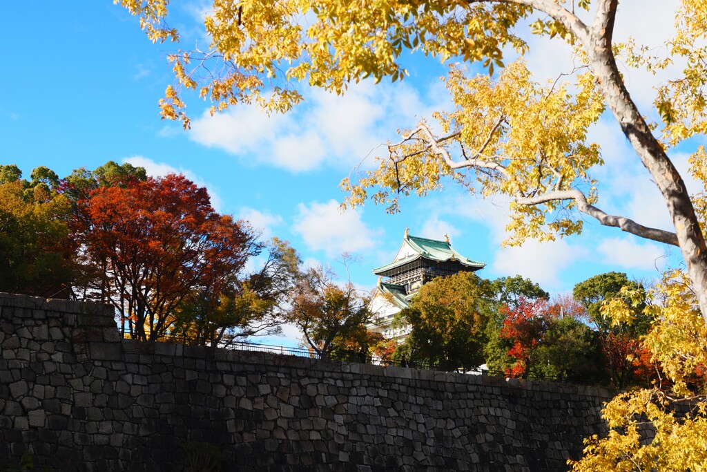 紅葉　大阪城　Ⅳ