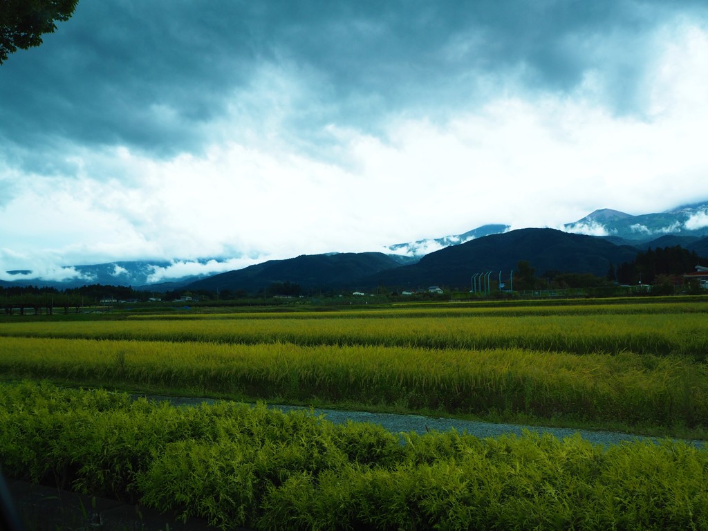 山と雲と田んぼ