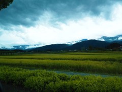 山と雲と田んぼ