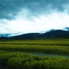 山と雲と田んぼ