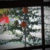 喫茶店の窓の外に・・