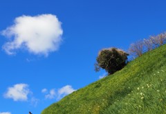 のんびり雲