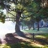 朝の公園Ⅰ