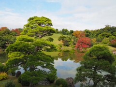 日本庭園の秋