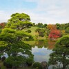 日本庭園の秋