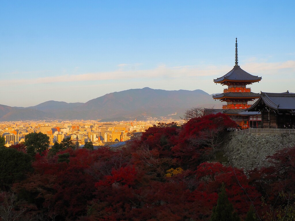 朝日が京都の街を照らす
