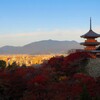 朝日が京都の街を照らす