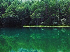 夏の御射鹿池Ⅱ　緑のリフレレクション