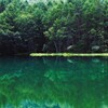 夏の御射鹿池Ⅱ　緑のリフレレクション