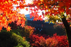 京都東福寺