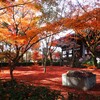 紅葉の絨毯Ⅰ　真如堂『本堂』
