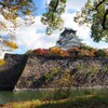 紅葉の大阪城Ⅲ
