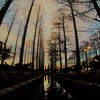 NAMIKI　夕暮れ