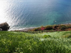 春の崖と海