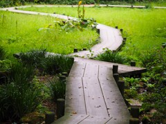 歩きたくなる『遊歩道』