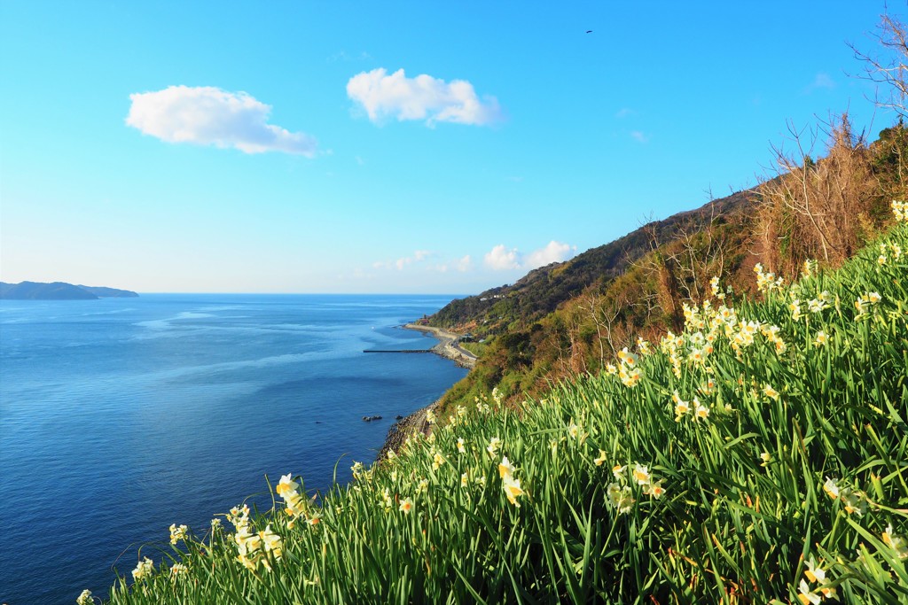 海岸線の道から