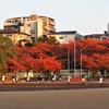 グラウンドの紅葉