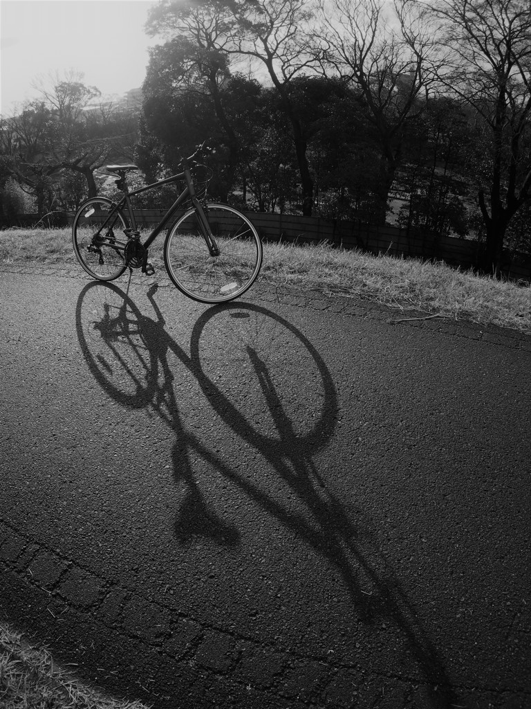 朝日と自転車と影