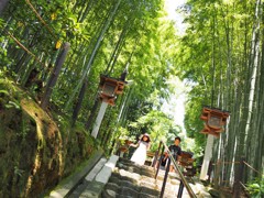 竹林の階段　大神神社