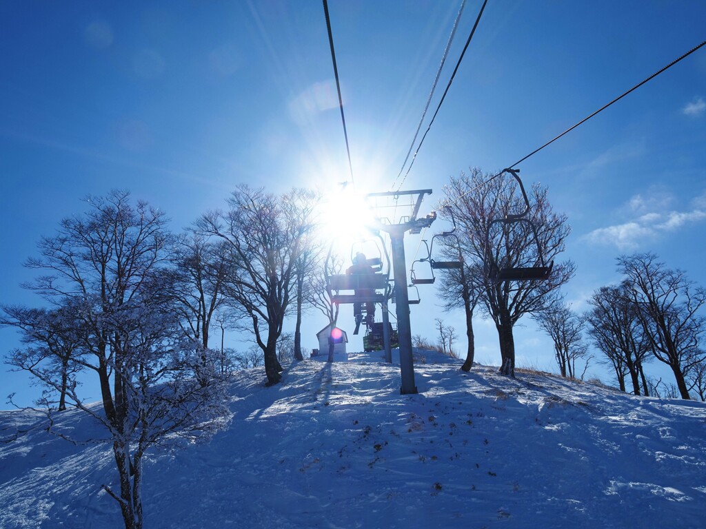 太陽に向かって　