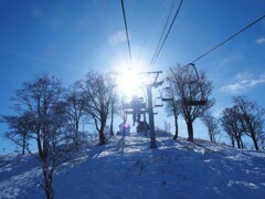 太陽に向かって　