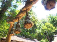 縄鳥居　大神神社