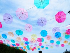 カラフル　梅雨明けしましたが・・・