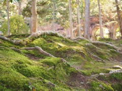 南禅寺、奥には水路閣