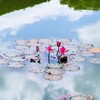 空と雲と睡蓮と・・Ⅲ