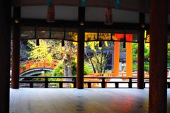 京都Ⅱ下鴨神社