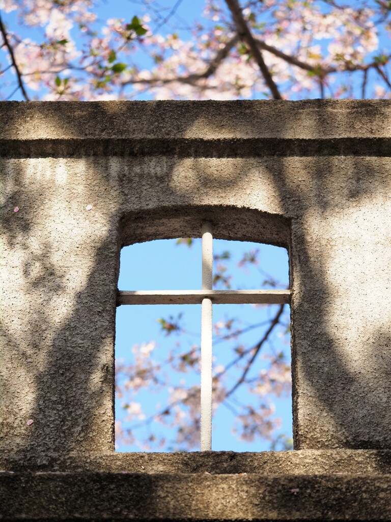 レトロ建造物と桜Ⅰ