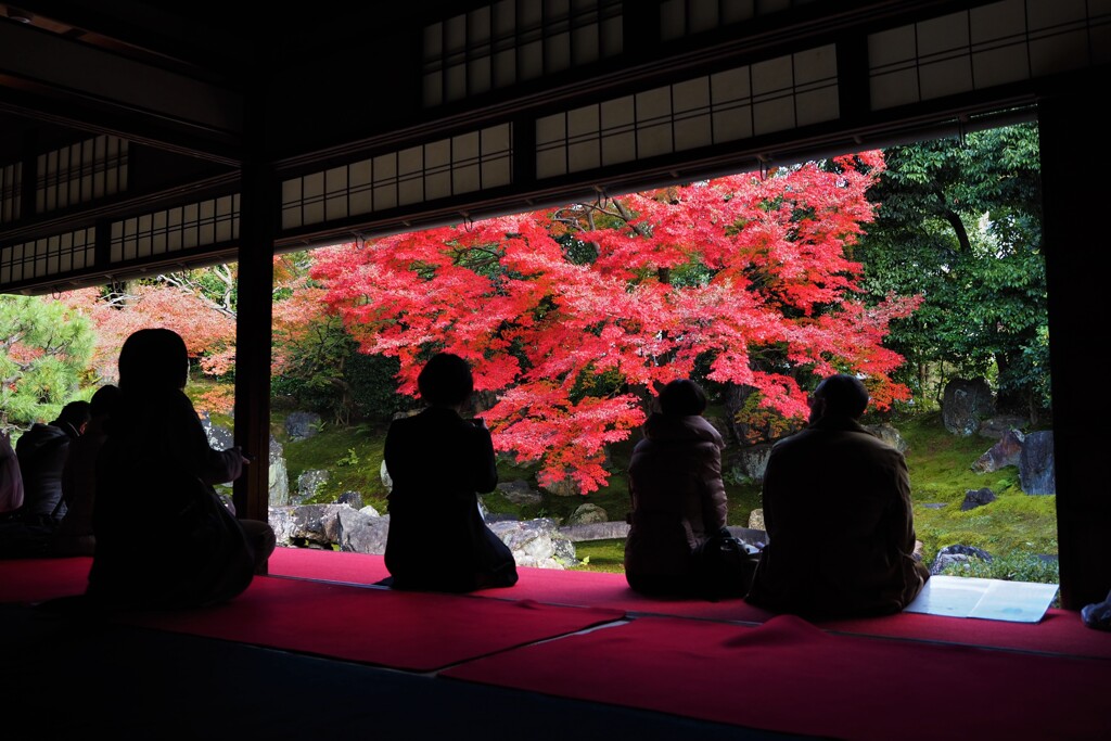 京都の紅葉Ⅰ