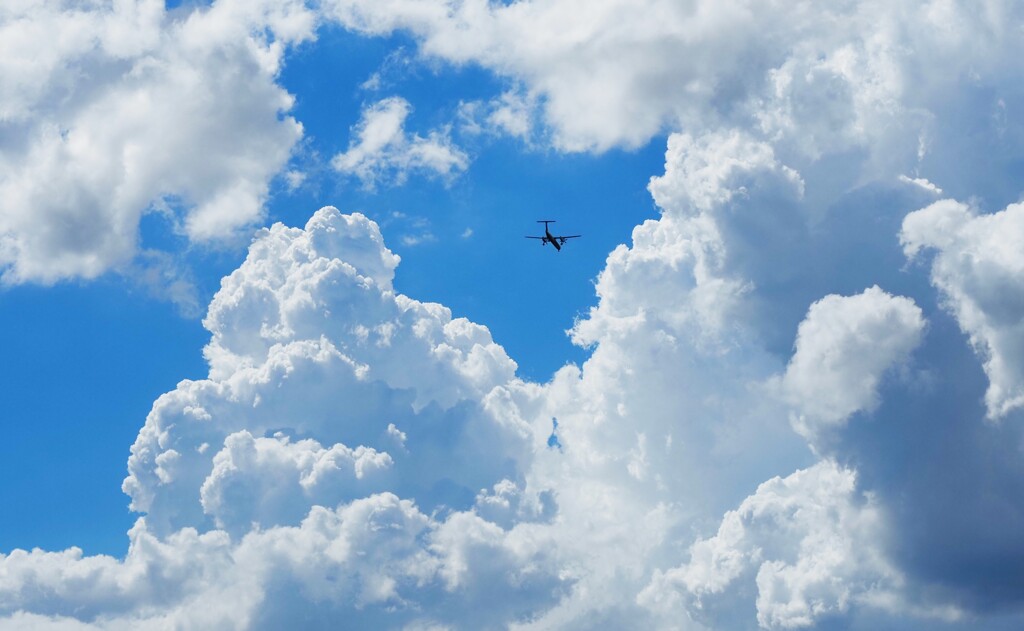夏　飛行機　
