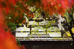 京都Ⅰ下鴨神社