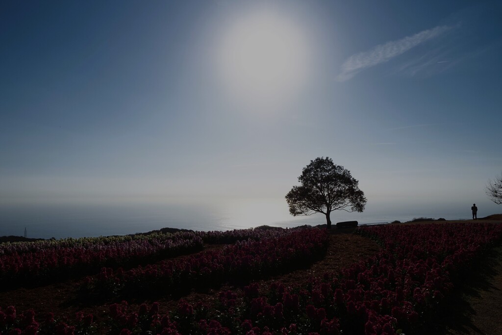 空と海の境界線Ⅱ